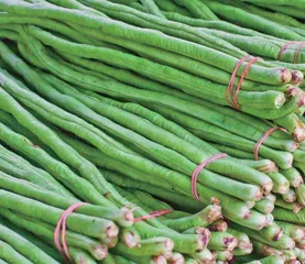 豇豆用药产品合格率为99.3% 不合格产品全部为杀虫剂