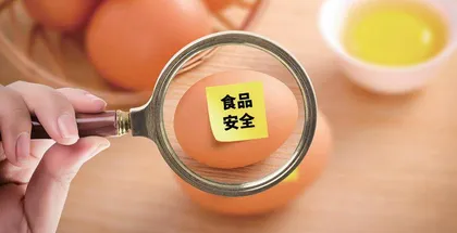 食品安全教育与思政教育融合育人的应用探索
