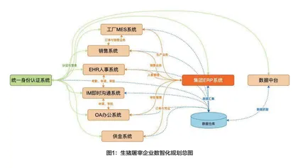 数智化赋能广西生猪屠宰产业发展的思考与展望