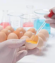 食品添加剂引发的食品安全问题及控制措施研究