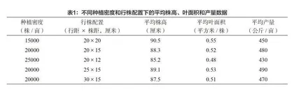 基于栽培和株型育种提高水稻光合作用效率的实践研究