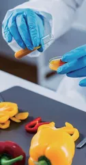食品用金属包装中有害物质检测技术研究进展
