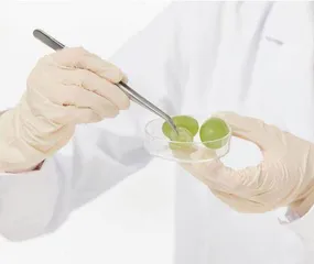 液相色谱在食品农药残留检测中的实践应用