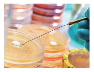课程思政理念下的食品微生物学课程教学经验浅谈