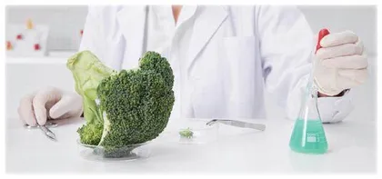 产教融合背景下食品生物技术专业改革与实践