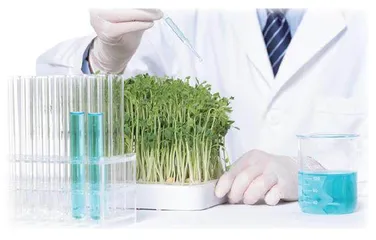 思政元素自然适度融入食品专业课程体系的教学实践探究