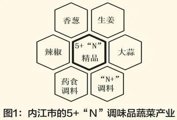 内江调味品蔬菜全产业链的发展实践路径