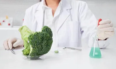 食品质量检验课程思政教学改革与实践