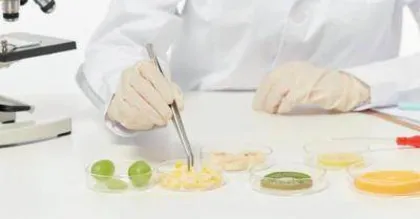 微课在高校食品安全课程教学中的应用