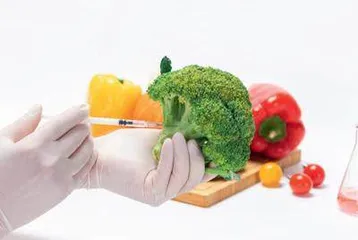 高校食品安全教育与思政教育融合的思考与实践