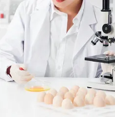 食品中有毒微生物的快速检测方法研究