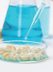 转基因食品科学传播要素与框架分析