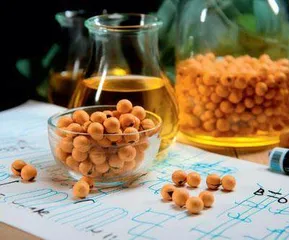 植物蛋白质工艺学 课程教学改革路径研究