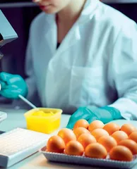 高效液相色谱技术在食品检测中的运用研究