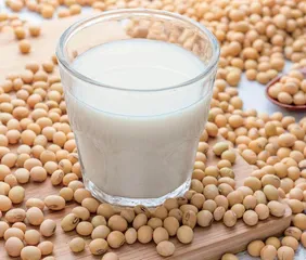 豆类及豆制品的健康效应及食用禁忌
