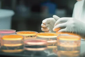 食品微生物学课程改革与食品安全教育的融合