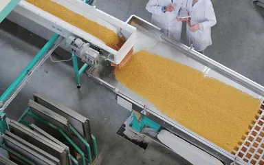 新经济时代下食品企业的转型与升级 