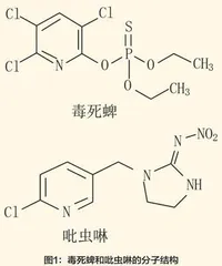 基于高效液相色谱-质谱联用技术（HPLC-MS）的食品中农药残留快速检测与定量分析