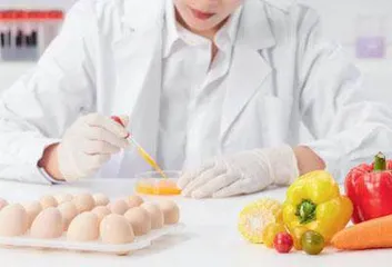 食品分析检测课程群教研室建设的实践与思考