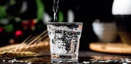 公众酒文化认知与建设策略研究