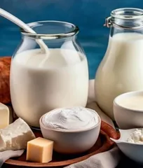 基于一体化教学模式的乳制品加工课程模块课堂教学改革