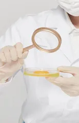 食品微生物课程思政教学探索与实践