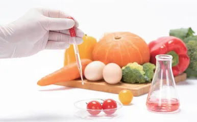 基于反转式对分课堂的食品分析课程教学研究