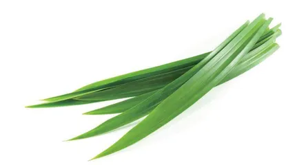 斑斓意粑，好运来吧