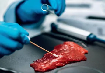 基于BOPPPS教学模式的食品微生物学课程教学设计优化