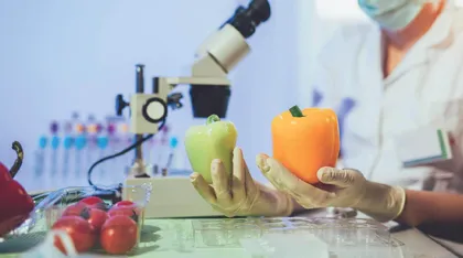 食品检验常见问题分析及检验质量控制措施研究