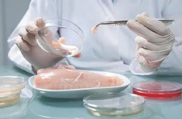 高职食品检验检测技术专业课程思政建设实践探索
