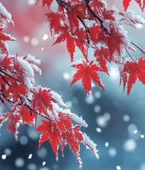 雪落成诗