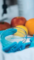 基于卓越工程师人才培养模式的食品微生物学课程教学改革研究与实践