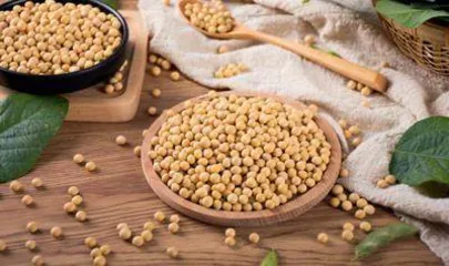 黄豆及其制品的营养价值研究