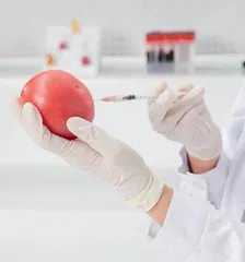 快速检测技术在食品安全监管中的应用分析