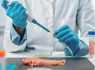 科研思维融入食品微生物学课程混合式教学的探索