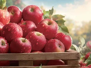 立足全链条发力  推动果业由大到强