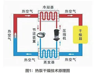 干燥技术在果蔬加工中的应用