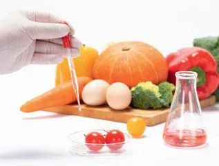 转基因食品检测技术应用分析