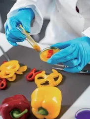 食品化学教学体系的建设与应用意义