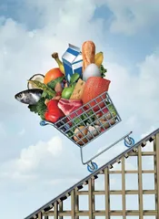 食品行业术语的英语翻译优化策略研究
