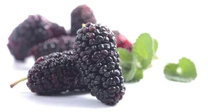 科学解读怎样选购和食用桑葚