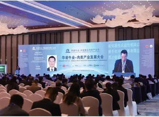构建新格局 迎接新挑战