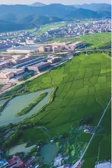 组织农民参与乡村建设 共建共治共享美好家园