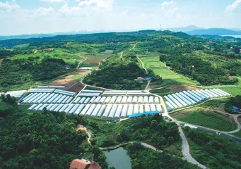 经受住多重考验 农业农村经济取得超预期成效