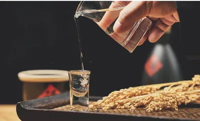 扎堆布局春晚 白酒行业竞争加剧
