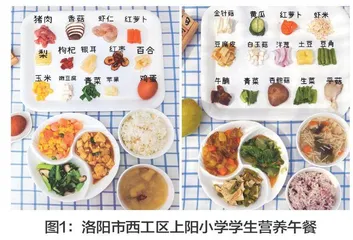 食育融入中小学营养餐的实践