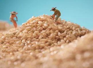 持续释放深入整治粮食购销领域系统性腐败强烈信号
