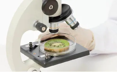 新时代高校课程育人的教学实践与研究
