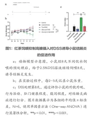 红茶在高糖饲喂小鼠结肠炎中的保护作用